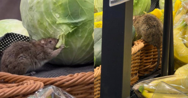 新北市中和區1間連鎖超市近日爆出食安疑慮。（圖／翻攝自Threads，@xiy._.5y）