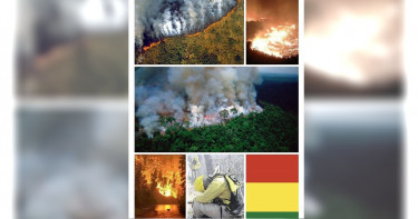 【末日浩劫ing-3】人民拼經濟只能和雨林爭地,「中美貿易戰」也是引爆點之一!?