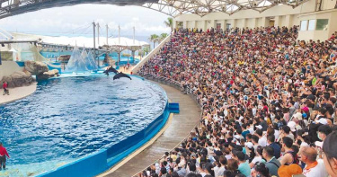 花蓮安心旅遊每房住宿補助1千元 首波8000萬元已到位