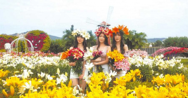 中社百合花季登場 一路美到明年6月