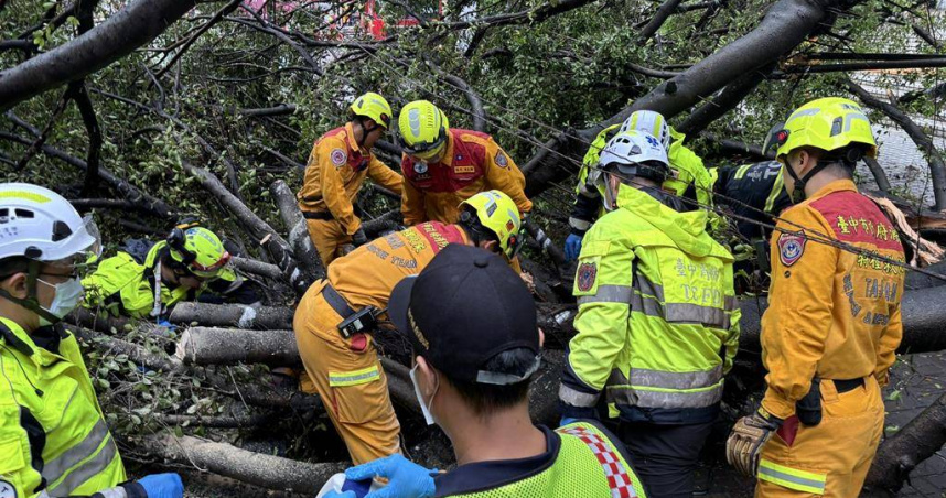 逢甲大學校園榕樹突倒塌砸中4名學生，23歲碩一男生吳姓同學不幸喪命，女友目睹救援過程悲痛不已。（圖／報系資料照）