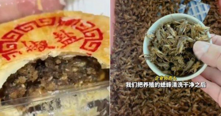 山東省臨沂市郯城某食品公司推出「蟋蟀月餅」。（圖／翻攝自微博）