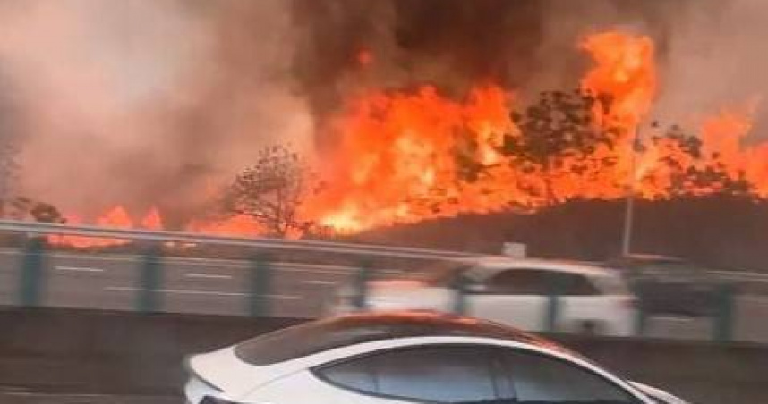 國3沙鹿火龍現身雜草火警濃煙遮路，駕駛秒變盲眼。(圖∕翻攝畫面)