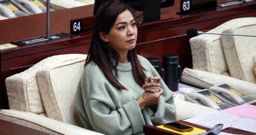 台北市議員鍾沛君質疑中央以「總預算未過」為由回應地方建設需求，批評恐流於政治化處理。（圖／報系資料照）