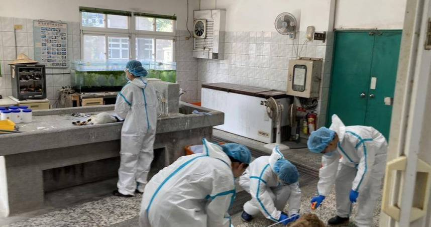 王姓男子2023年間三度以空拍機投毒，釀成3隻動物死亡、10多隻動物中毒的悲劇。（圖／翻攝畫面）
