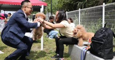 流浪動物日推政見，童子瑋：基隆七區有寵物公園。（圖片提供／基隆市政府）