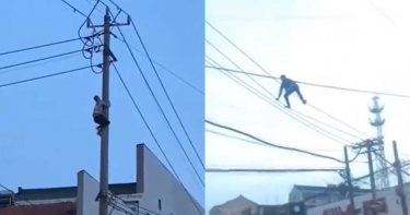 男爬高壓電「尋短沒死」!警斷電8小時營救…無辜重病老婦慘賠命