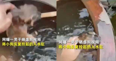 小狗慘被拎起「反覆扔水缸」慘死!惡男竟稱「太好玩了」惹眾怒