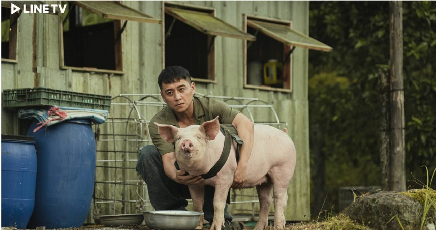 《豬人》 鄭人碩稱讚豬演員很敬業。（圖／LINE TV提供）