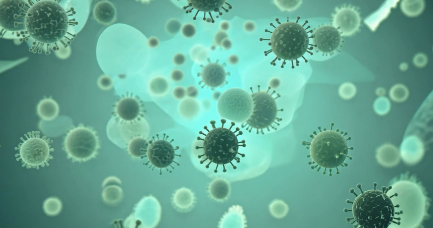 立百病毒列第五類法定傳染病！症狀初期像感冒，「2」條件要通報、3大預防方式。