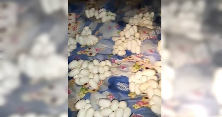 大陸江西一名男子自稱外出工作半年，返家驚見屋內都是蛇蛋，引發網友熱烈討論。（圖／翻攝自微博／都市頻道）
