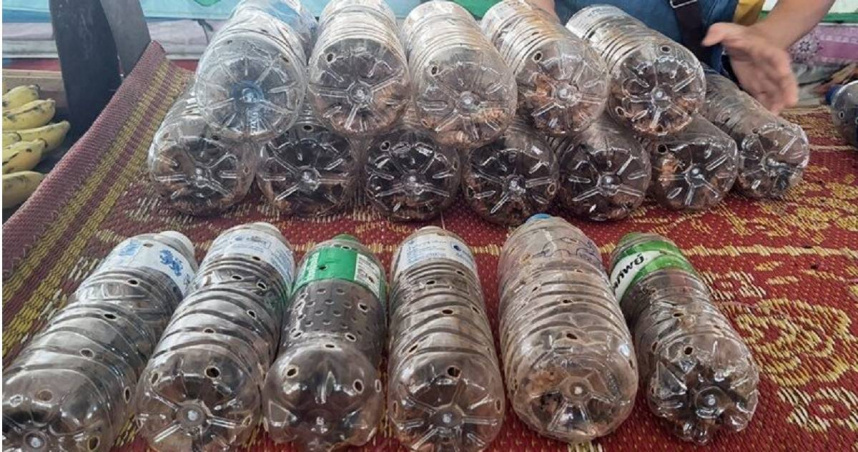 泰國人把蟋蟀當零食，其中有一種季節限定的「大油葫蘆」（泰國一種蟋蟀），在市場上架不到10分鐘就被搶購一空。（圖／翻攝自《khaosod》）