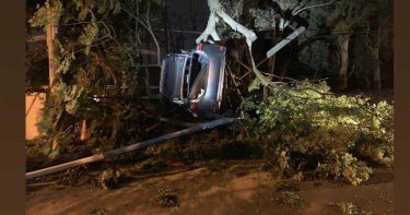 急速過彎 轎車飛越道路掛樹頭