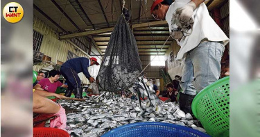 全球暖化持續60%魚種難繁衍 生態系恐將崩壞