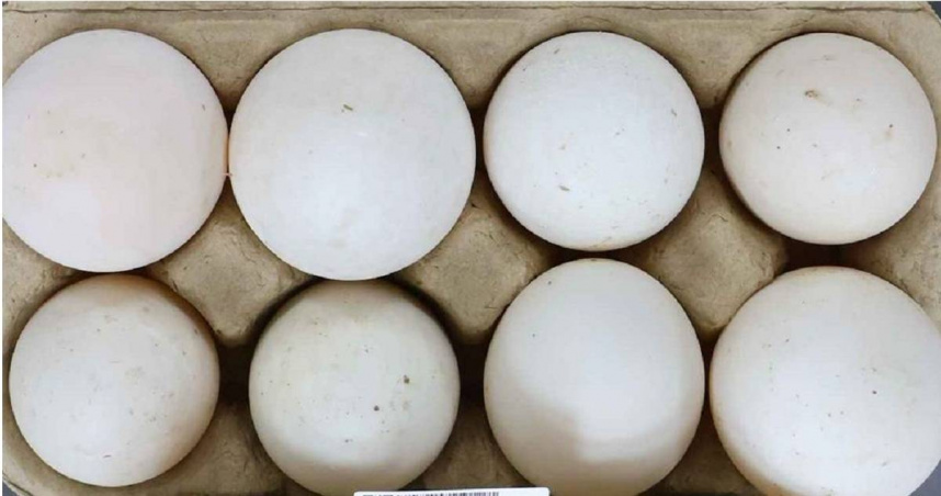 嘉義市南田市場一批「國產鴨蛋」，近日被驗出含2種超標抗菌劑，若民眾不小心吃下肚，恐出現噁心、嘔吐、過敏、頭暈、頭痛及過敏等不適症狀，所幸該批問題鴨蛋在出售前就已被食藥署查獲，並未流入市面。（ 圖／食藥署提供）