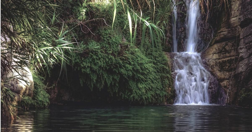 大陸河南省駐馬店市一名19歲女子小雨（化名），2024年7月份某個晚上遭到陳男試圖性侵，逃跑時意外掉落水塘中溺死，陳男一審遭判處死緩（死刑緩期執行）。（示意圖／Pixabay）