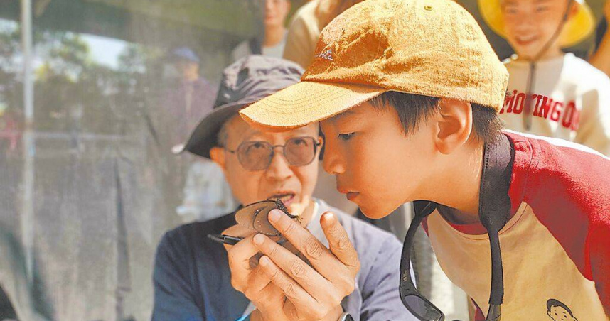 台灣紫斑蝶生態保育協會志工23日標放紫斑蝶前，讓小朋友聞聞公蝶的荷爾蒙氣味。（圖／中國時報周麗蘭攝）