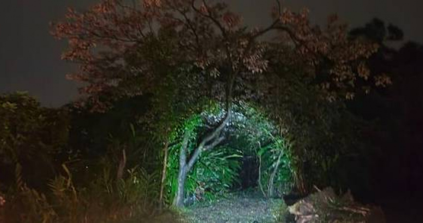 基隆17歲女高中生跌落山坡遭樹壓，警消連夜搜救驚險脫困。（圖 ／翻攝畫面）