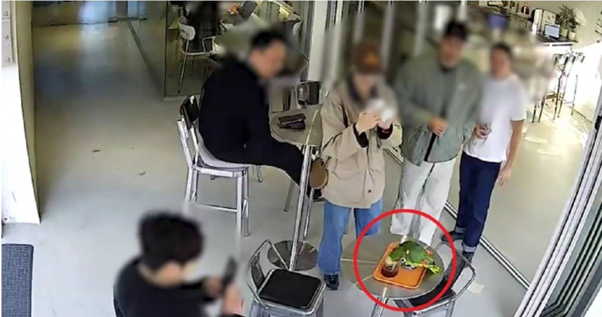 南韓有民眾在首爾一間咖啡店，發現有一隻瀕危的雙黃頭亞馬遜鸚鵡，飛進來喝顧客的咖啡，引發騷動。（圖／翻攝自韓網）