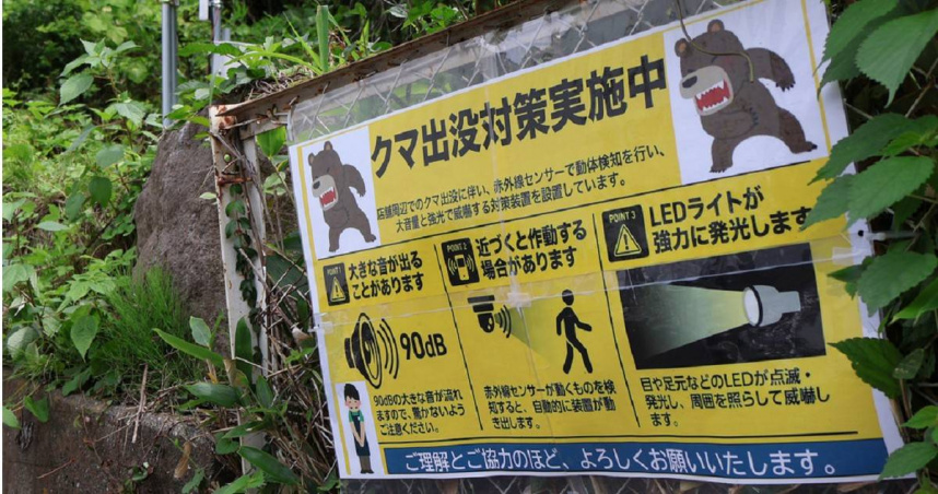 日本近來「熊出沒」事件頻傳，為保障學童上下學的安全，允許學生若擔心遭熊襲擊而請假不上學，不會因此列入缺席紀錄。（示意圖／達志／美聯社）