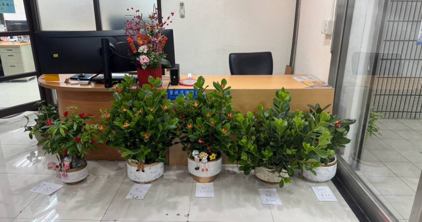花店門口5盆盆栽連夜消失！　警逮三輪車女到案稱：帶回家欣賞
