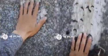 數十億隻蚊子侵襲俄羅斯城鎮 美少女肉體被「侵犯」!