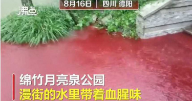 四川雨彈狂炸…詭異紅水路面蔓延 民眾:有血腥味