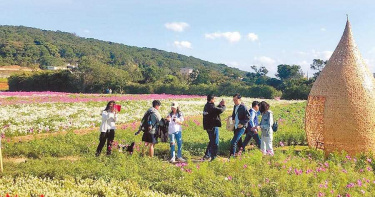 桃園花彩節繽紛登場 鄭文燦全力打造休閑農業區