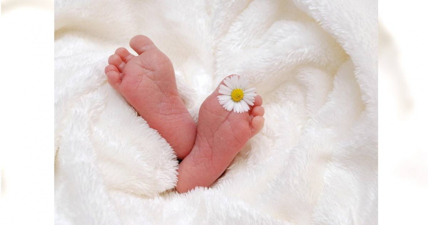 爸爸幫兒子取名「東風」，結果登記時戶政人員打成「東凡」，媽媽覺得更好聽，直呼「就這個，不改了！」（示意圖／Pixabay）