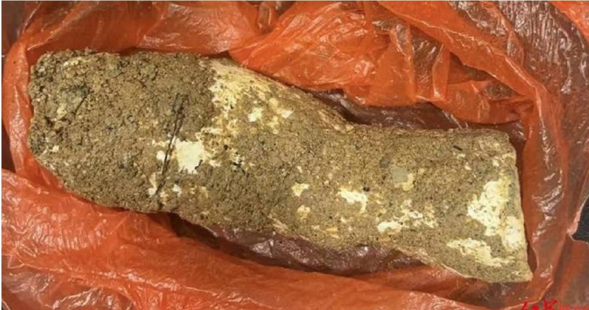 大陸廣東省河源市一名50歲周姓婦人近日因端午節要包粽子，於是與鄰居一起上山採粽葉，還意外收穫一朵「巨大白蘑菇」，怎料一家4口喝完野菇湯後竟「肝腎衰竭」，全家中毒送醫。（圖／翻攝自極目新聞）