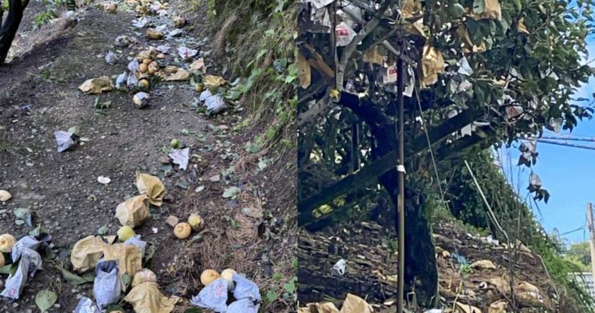 大梨山地區農作物災情慘重。（圖／農民提供）