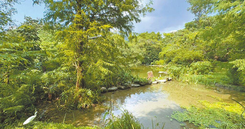 台北捷運大安森林公園站近日遭民眾反映，僅在捷運月台內就聞到「臭池水味」。北市公園處4日回應，8月底有民眾反映異味，經查與生態池鳥類育雛期有關，於4日再次檢查後已無異味，後續如有發現類似情況，會立即通知相關單位改善。（圖／中國時報邱芊攝）