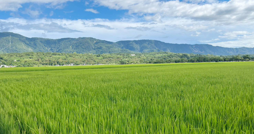 立法院14日通過由立法委員陳瑩、莊瑞雄等27位立委共同連署的「公地放領」提案。（圖／陳瑩辦公室提供）