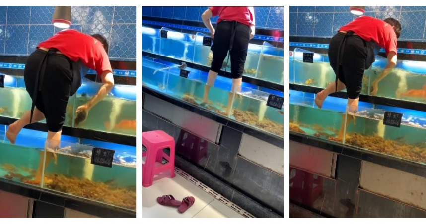 女子赤腳站進水族箱擦拭玻璃，現場畫面引發民眾熱議。（圖／翻攝自大風新聞）