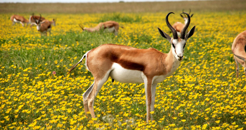 （示意圖／Pexels）