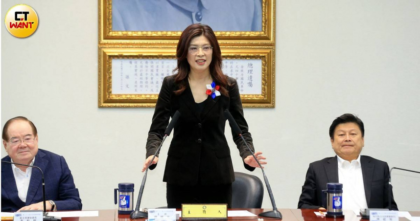 鄭麗文表示，國民黨訪問大陸符合國際社會共同的期待。（圖／周志龍攝）