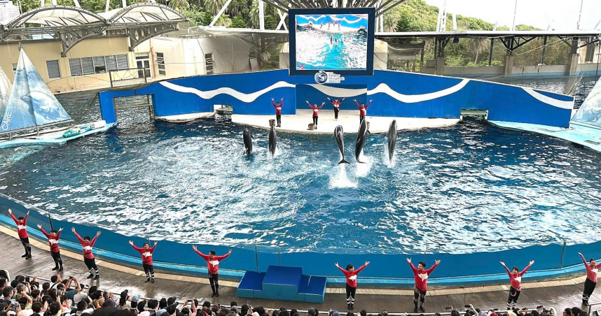遠雄海洋公園海豚表演秀「跳浪奇緣」正式落幕。（圖／翻攝自臉書／遠雄海洋公園）
