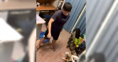 高雄大學陳姓應屆畢業生遭控在宿舍內虐待倉鼠，還曾將倉鼠裝進襪子中狂甩，導致3、40隻無辜生命身亡。（圖／翻攝畫面）