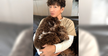打造主廚氣場 木村拓哉不靠槍手親手作料理