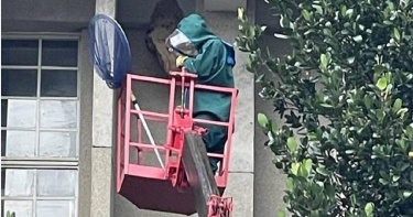 新北市瑞芳區一名年約60多歲鄭姓男子捕蜂時，頭部不慎遭蜜蜂螫傷，目前意識不清。（讀者提供／陳彩玲基隆傳真）