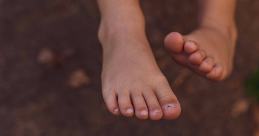 澳洲一名收容所員工私藏人類腳趾，想上網將其賣出。圖僅示意，與本案無關。（示意圖／翻攝自unsplash）