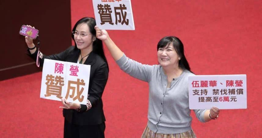 中選會宣布罷免立委陳瑩（左）、伍麗華（右）的二階連署書皆未送件，依法不予受理。（圖／報系資料照）