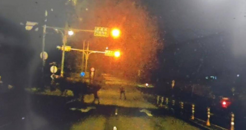 桃園市龜山區忠義路二段3日深夜有牛隻出沒，警方獲報後趕緊通知飼主，並派遣警力趕赴現場，協助將牛隻趕回，確保道路恢復正常通行。警方表示，飼主違反《道路交通管理處罰條例》第84條，將依規定製單舉發。（圖／翻攝照片）