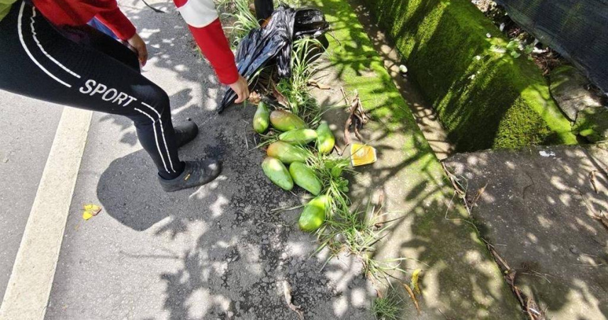 遊客山區偷摘7顆遭活逮。（ 圖／翻攝畫面）