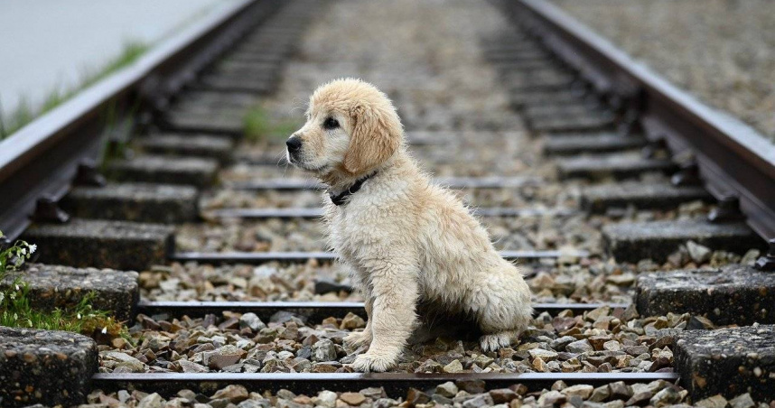 （示意圖／pixabay）