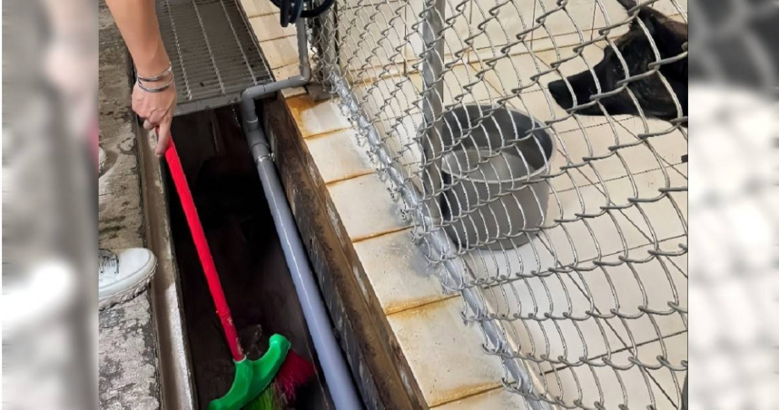 新北市動保處表示，為確保毛寶貝安全，各動物之家已完成防颱準備，測試發電機、儲水備用、清理排水溝、修剪樹枝、固定懸掛物並加固樹木、門窗等預防措施（圖／取自新北市政府網站）