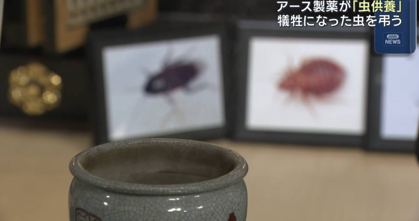 Earth製藥每年都會舉辦「昆蟲祭祀儀式」。（圖／翻攝自youtube／ABCテレビニュース）