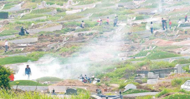 服刑10年剛出獄!41歲男「舉鋤頭狂砸」…親姊慘死老父親墳前