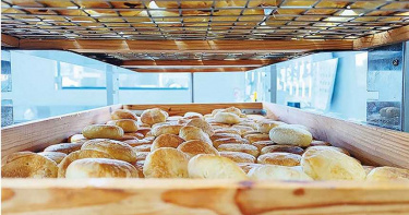 餅店老故事1/福和成 台東限定封仔餅