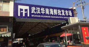 武漢肺炎/極可能「有限度人傳人」 世衛憂:疫情恐擴散!